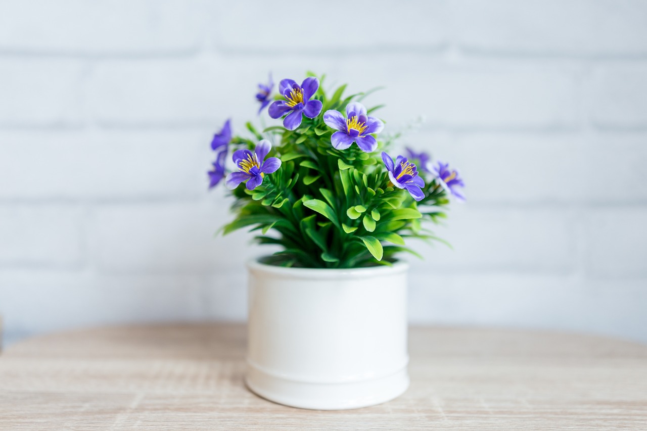 Blumentopf Test