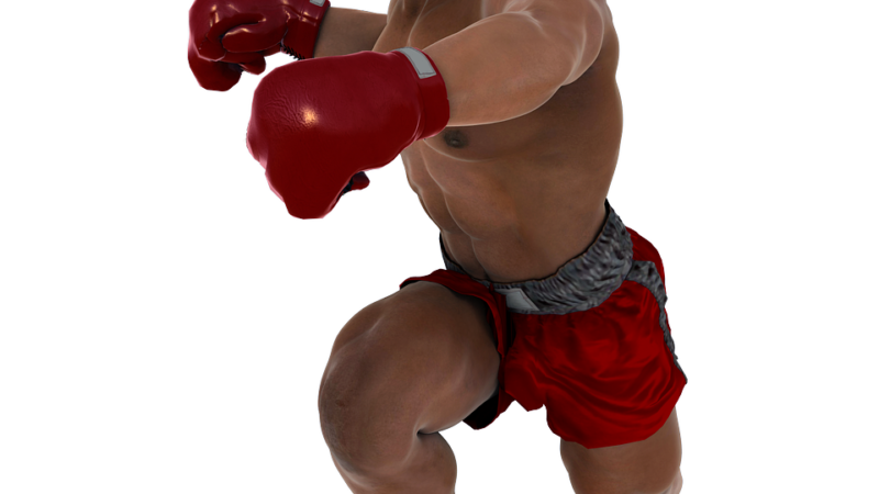 Die besten Boxhandschuhe für Anfänger und Fortgeschrittene